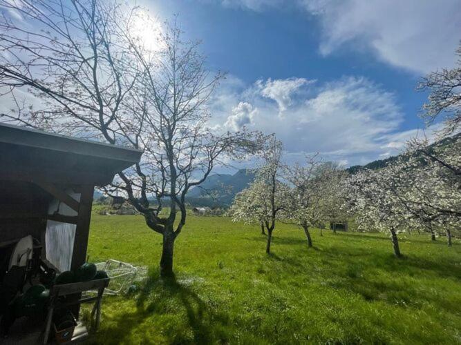 Holiday Home, Soell Zewnętrze zdjęcie